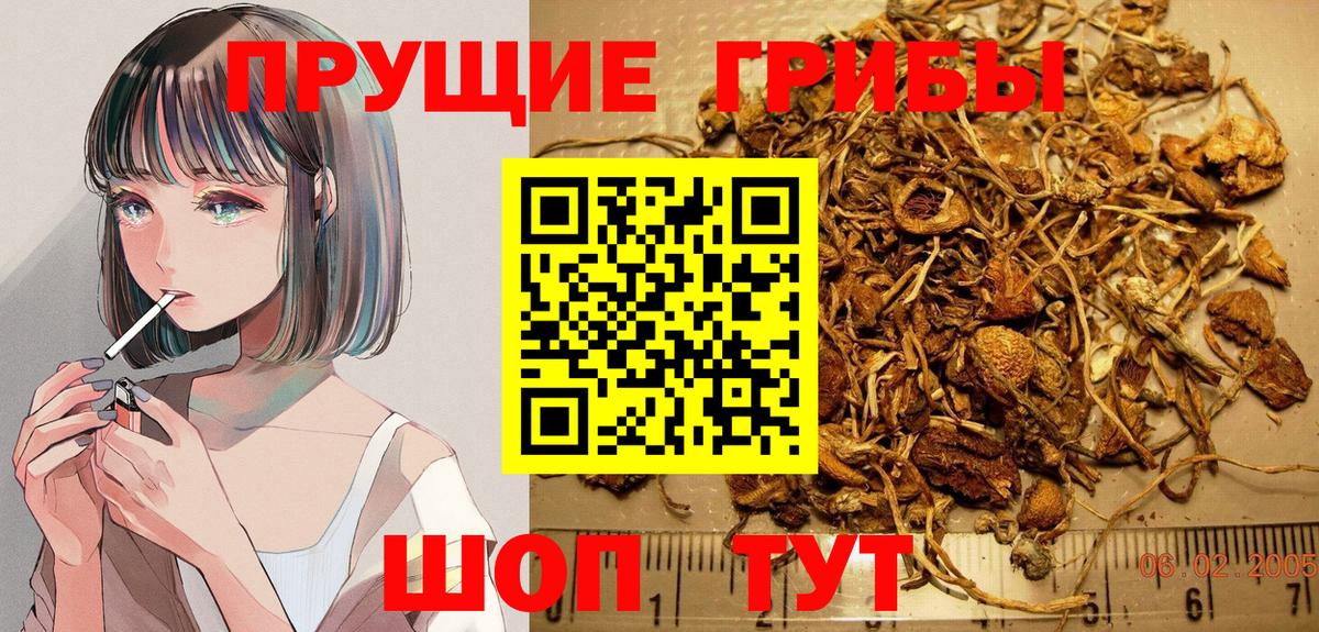 ЭКСТАЗИ Россия